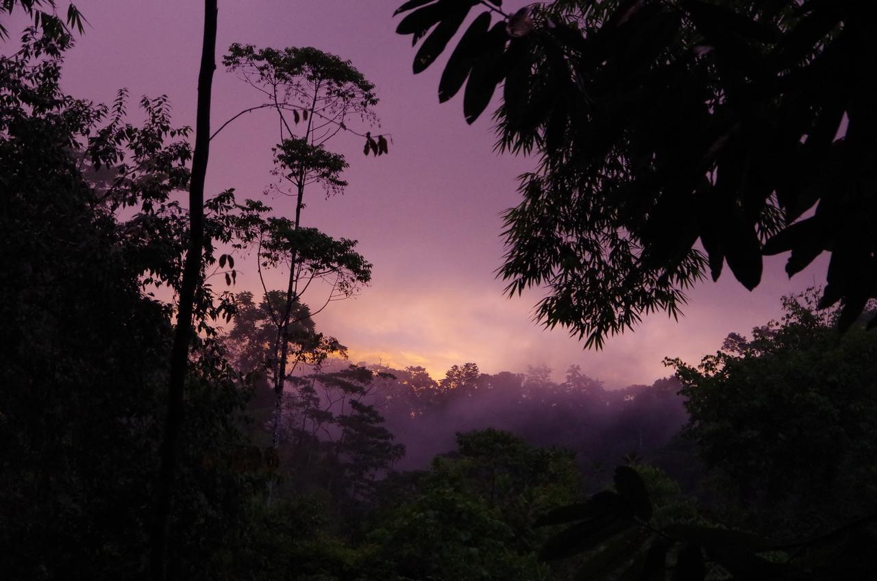 Amazonita Ecolodge Dos Brazos Zewnętrze zdjęcie